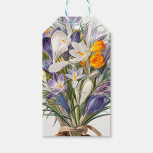 Crocus Spring Flower Botanische Bloemkunst Cadeaulabel