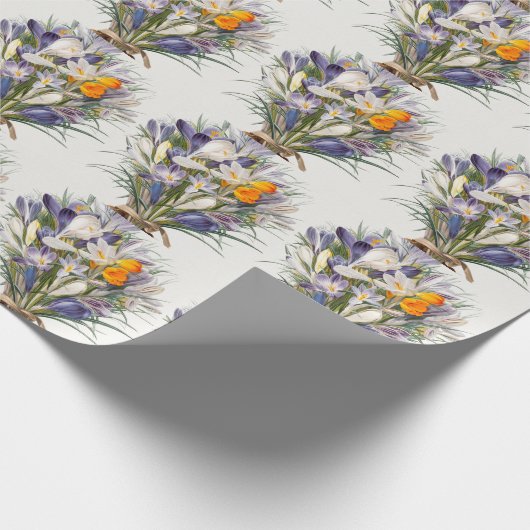 Crocus Spring Flower Botanische Bloemkunst Cadeaupapier (Hoek)