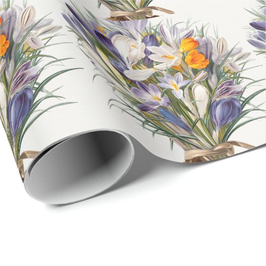 Crocus Spring Flower Botanische Bloemkunst Cadeaupapier (Rol Hoek)