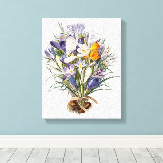 Crocus Spring Flower Botanische Bloemkunst Canvas Afdruk (Insitu (Houten vloer))
