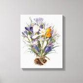 Crocus Spring Flower Botanische Bloemkunst Canvas Afdruk (Voorkant)