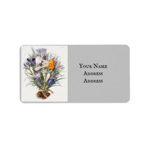 Crocus Spring Flower Botanische Bloemkunst Etiket