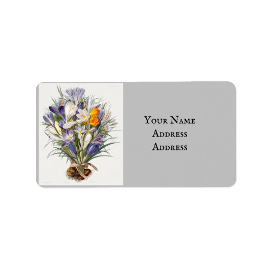 Crocus Spring Flower Botanische Bloemkunst Etiket (Voorkant)