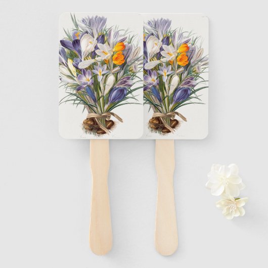 Crocus Spring Flower Botanische Bloemkunst Handwaaier (Voorkant en achterkant)