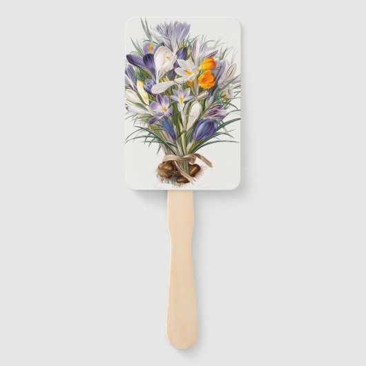 Crocus Spring Flower Botanische Bloemkunst Handwaaier (Achterkant)