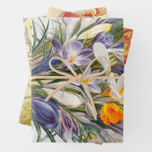 Crocus Spring Flower Botanische Bloemkunst Inpakpapier Vel (In situ)