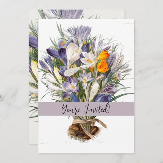 Crocus Spring Flower Botanische Bloemkunst Kaart (Voorkant / Achterkant)