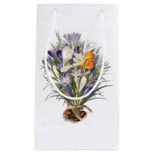 Crocus Spring Flower Botanische Bloemkunst Klein Cadeauzakje