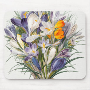 Crocus Spring Flower Botanische Bloemkunst Muismat