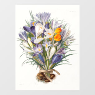 Crocus Spring Flower Botanische Bloemkunst Raamsticker