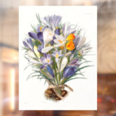Crocus Spring Flower Botanische Bloemkunst Raamsticker (Vel 2)