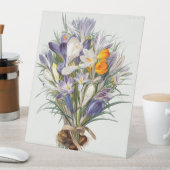 Crocus Spring Flower Botanische Bloemkunst Reclamebord Met Voetstuk (Insitu)