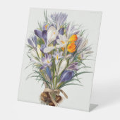 Crocus Spring Flower Botanische Bloemkunst Reclamebord Met Voetstuk (Voorkant)