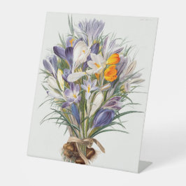 Crocus Spring Flower Botanische Bloemkunst Reclamebord Met Voetstuk