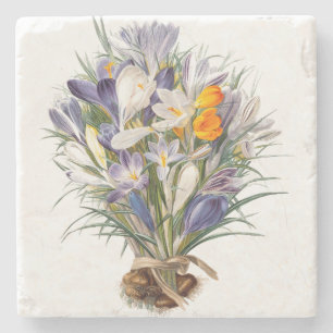 Crocus Spring Flower Botanische Bloemkunst Stenen Onderzetter