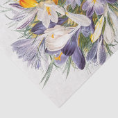 Crocus Spring Flower Botanische Bloemkunst Tissuepapier (Detail)
