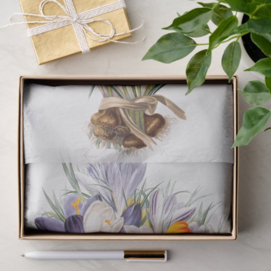 Crocus Spring Flower Botanische Bloemkunst Tissuepapier (Geschenk)