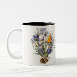 Crocus Spring Flower Botanische Bloemkunst Tweekleurige Koffiemok