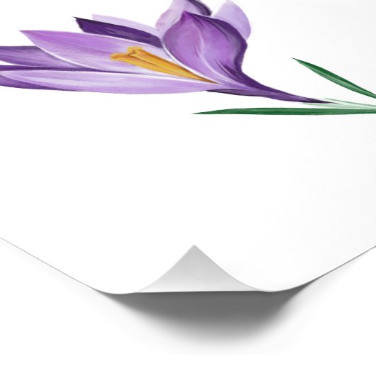 Crocus Spring Flower Foto Afdruk (Hoek)