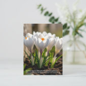 Crocus-symboliek Briefkaart (Staand voorkant)