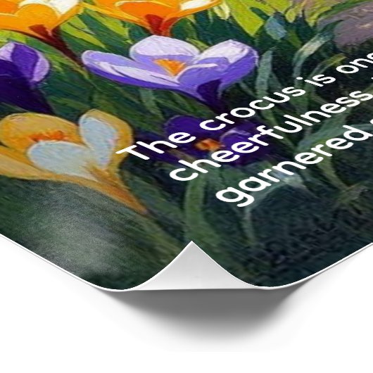 Crocus Symbolism Perfect Poster (Hoek)