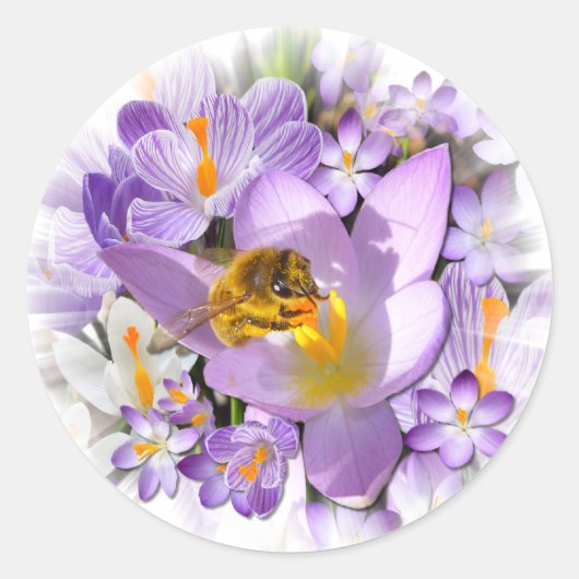CROCUS TASTER ~ Envelope Sealers/Stickers Ronde Sticker (Voorkant)