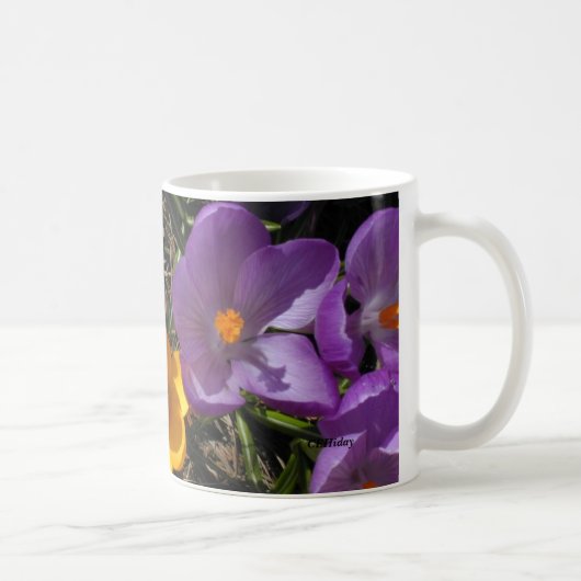 Crocus Trio, CEHiday Koffiemok (Rechts)