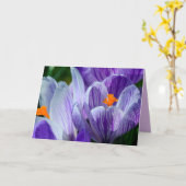 crocus wenskaart kaart (Gele Bloem)