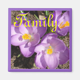 crocusfamilymagneet magneet