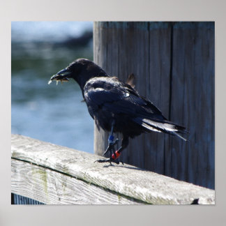 Croenvisserij Poster