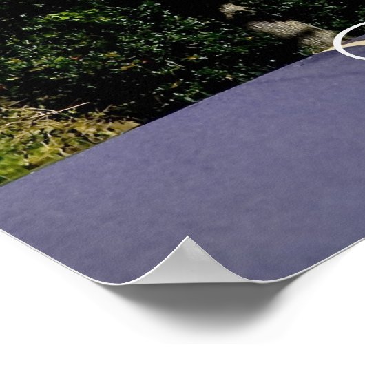 Crofton, Maryland Poster (Hoek)