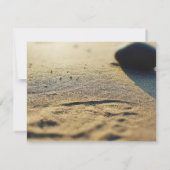 Cromer Seascape, platte Wenskaart. Kaart (Achterkant)