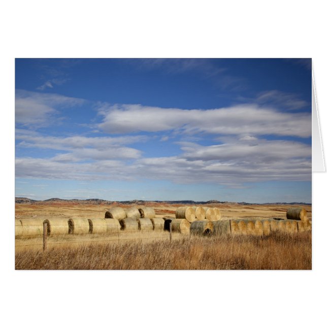 Crook County, Hay Bales (Voorkant Horizontaal)