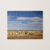 Crook County, Hay Bales Legpuzzel (Horizontaal)