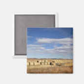 Crook County, Hay Bales Magneet (Voorkant / Achterkant)
