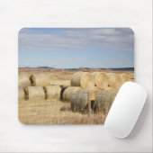 Crook County, Hay Bales Muismat (Met muis)