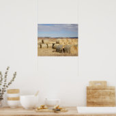 Crook County, Hay Bales Poster (Keuken)