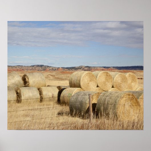 Crook County, Hay Bales Poster (Voorkant)