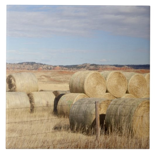 Crook County, Hay Bales Tegeltje (Voorkant)