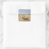 Crook County, Hay Bales Vierkante Sticker (Tas)