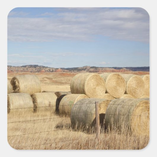 Crook County, Hay Bales Vierkante Sticker (Voorkant)