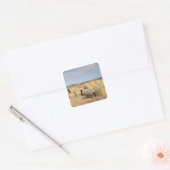 Crook County, Hay Bales Vierkante Sticker (Envelop)