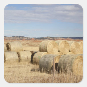 Crook County, Hay Bales Vierkante Sticker