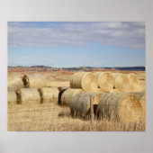 Crook County, Hooibalen Poster (Voorkant)