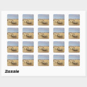 Crook County, Hooibalen Vierkante Sticker (Vel)