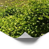 Crooked River, Oregon Poster (Hoek)