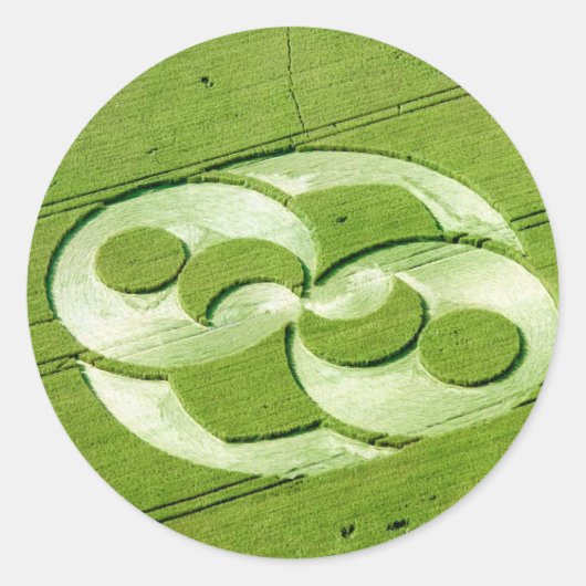 Crop Circle Julia Set Liddington Castle 1996 Ronde Sticker (Voorkant)