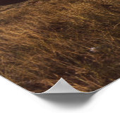 Crop Duster Biplanes uit de jaren 1940 Poster (Hoek)