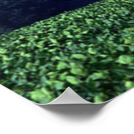 Cropduster Poster (Hoek)