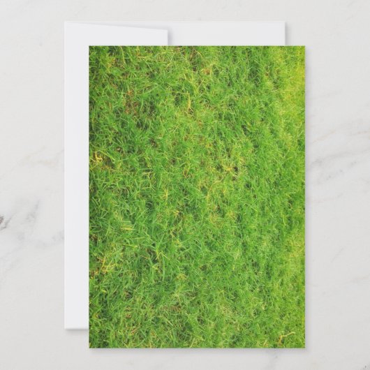 Croquet Achtertuin Game Gazon Verjaardagsfeest Uit Kaart (Achterkant)